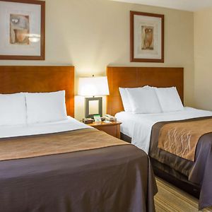 Standard Queen Room